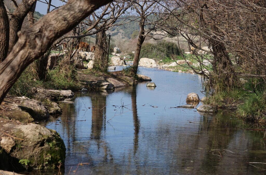 נחל ציפורי. הטיילת הסלולה משתרעת לאורך של כארבעה קילומטרים