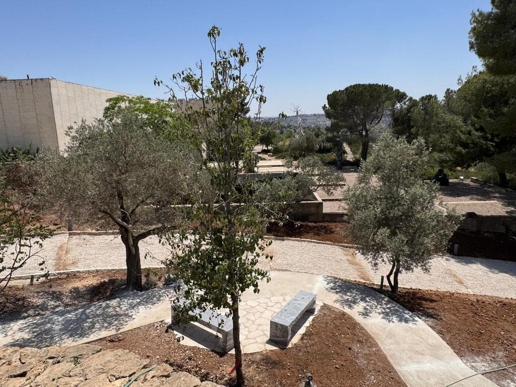 מפגש בין תרבויות המזרח הרחוק, המזרח התיכון והמערב (צילום: Leor Lovinger) הגן במוזיאון ישראל, ירושלים