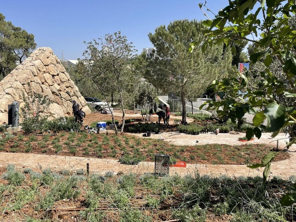 הגן במוזיאון ישראל, ירושלים (צילום: Sivan Eran Levian) הגן במוזיאון ישראל, ירושלים