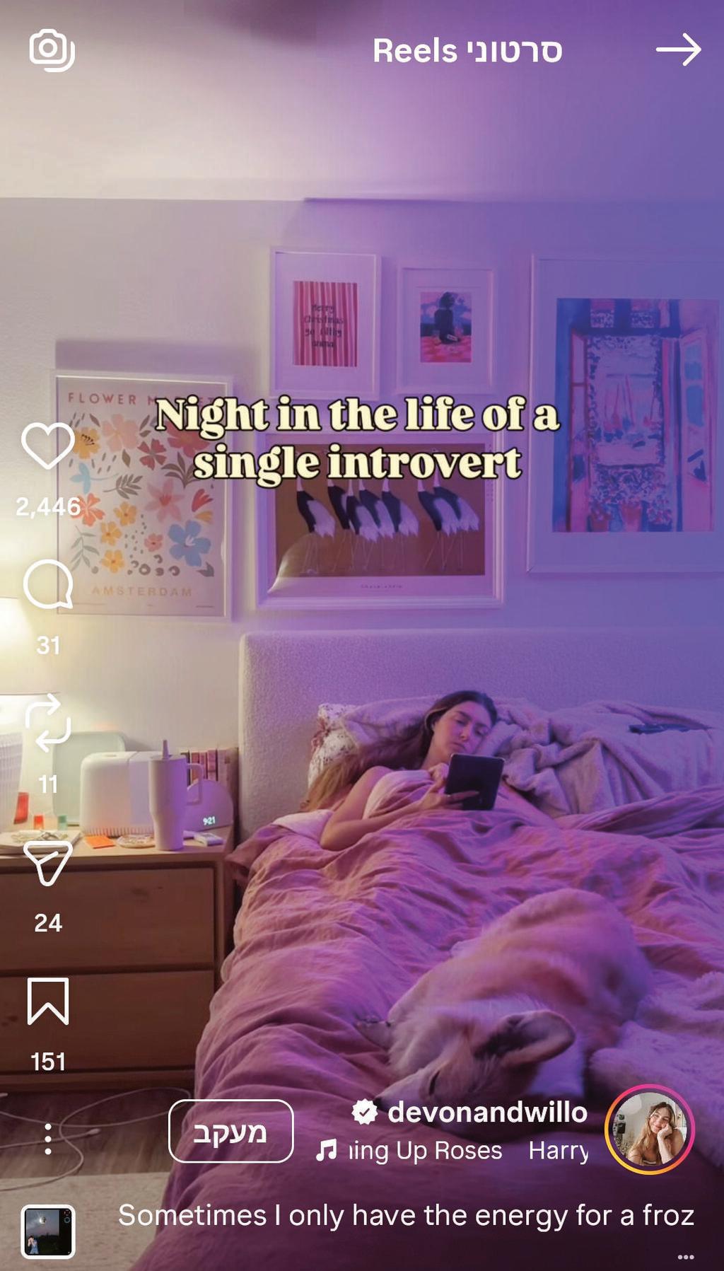 דבון נורינג מפיניק, אריזונה, מעלה תוכן של "רווקה מופנמת" ל־360 אלף עוקביה באינסטגרם: devonandwillo (צילום: מתוך אינסטגרם) דבון נורינג מפיניק, אריזונה, מעלה תוכן של "רווקה מופנמת" ל־360 אלף עוקביה באינסטגרם: devonandwillo