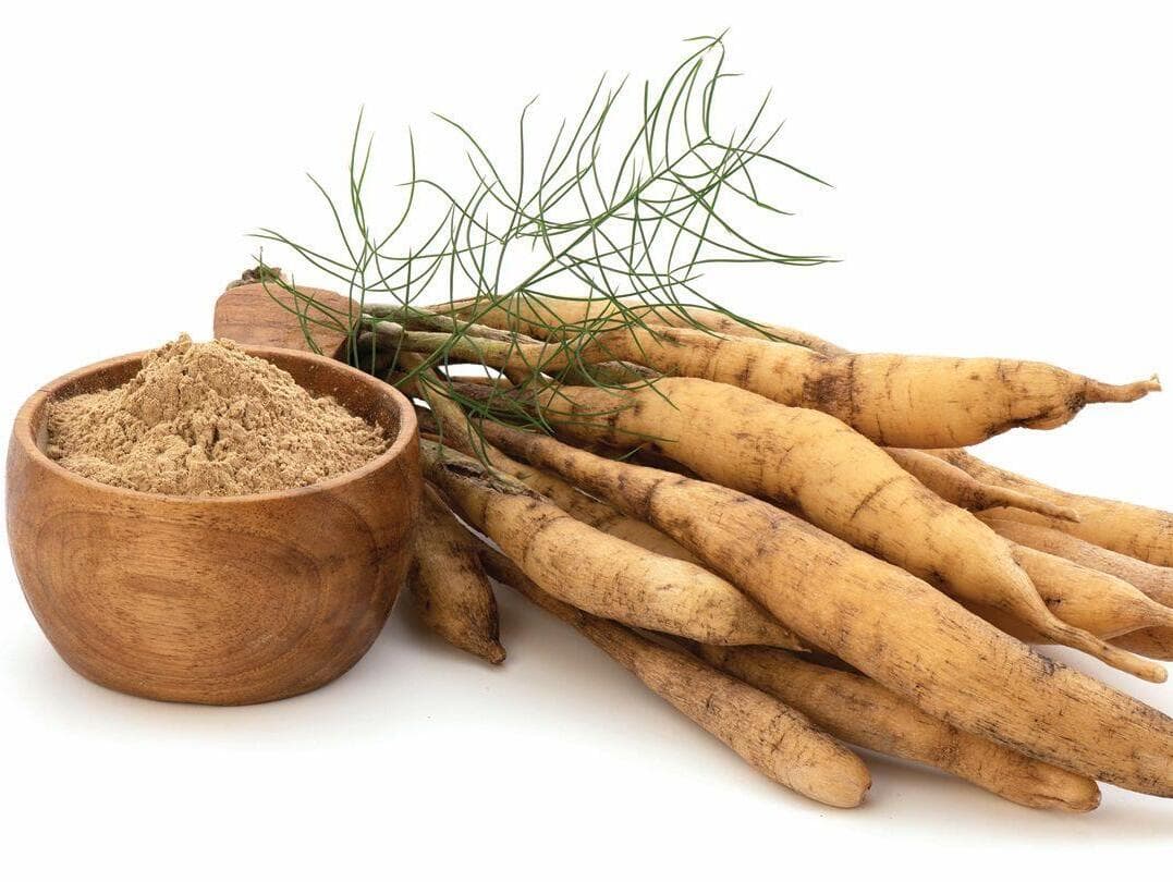 צמח השטווארי (צילום: Shutterstock) צמח השטווארי. מסייע לגוף להתמודד עם מצבי סטרס פיזיולוגי ונפשי