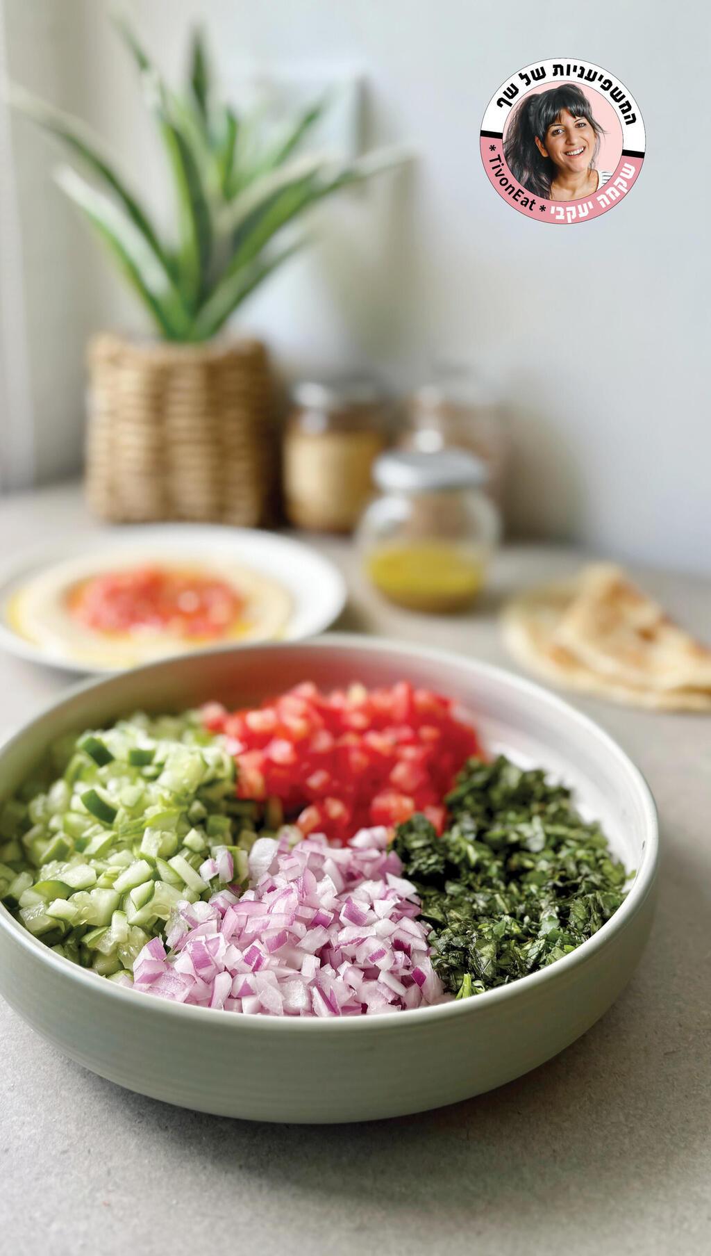 סלט שיראזי (צילום: שקמה יעקבי) סלט שיראזי