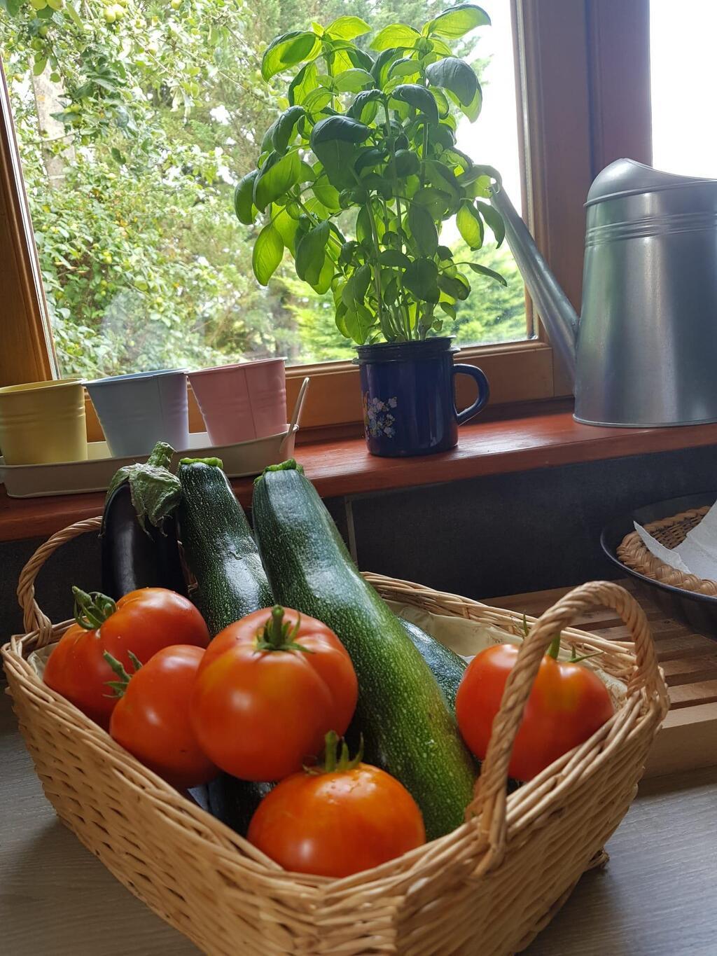 החלום של רותם ואורי היה חוויית Farm to Table במלוא מובן המילה (צילום: נטע בר, רותם בר) דורדון