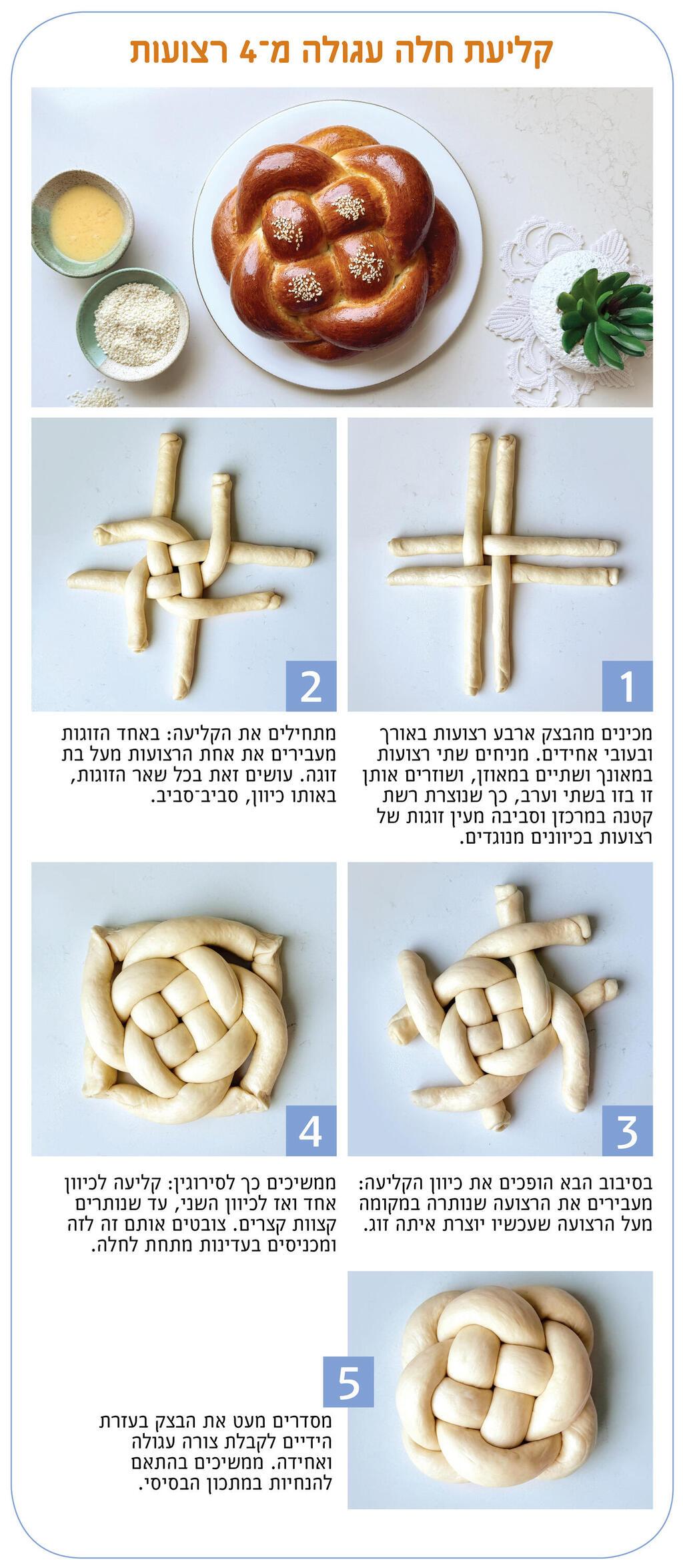 צילום: מאיה בן דהן
