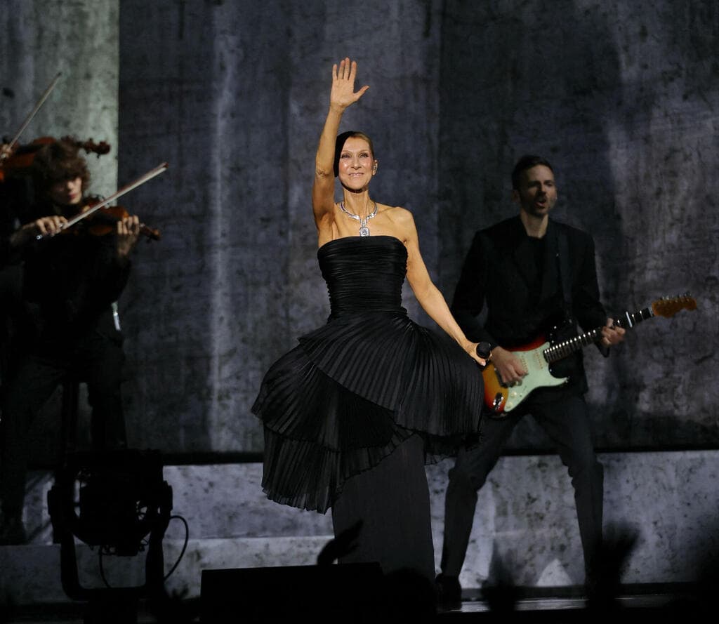 דיון על הבמה בשמלת דיור (צילום: Thomas SAMSON / AFP) Celine Dion