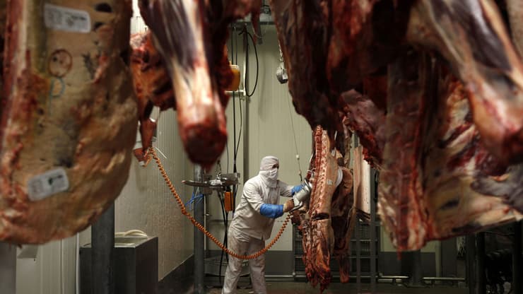 שוק הבשר בישראל נסמך ברובו על בשר טרי מפולין