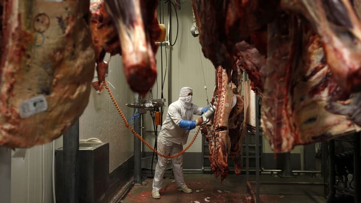 פולין נחשבת לאחת מיצואניות הבשר הכשר הגדולות בעולם