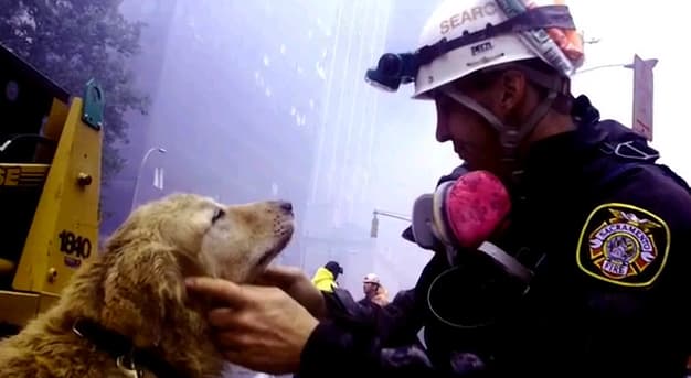 איש כוחות ההצלה עם כלב גישוש בחורבות מגדלי התאומים בניו יורק