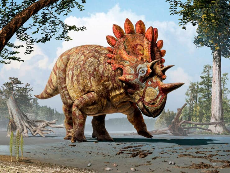 הפגיעה הובילה להכחדת הדינוזאורים