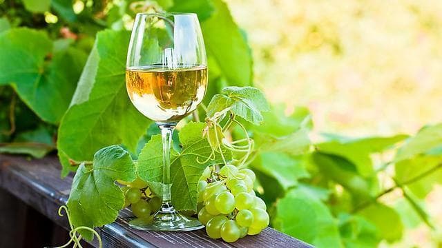 שווה לצאת למאבק על כוס יין לבן?
