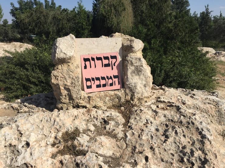 צילום: גיל סלוביק