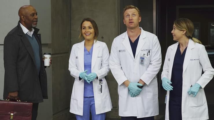 מתוך "האנטומיה של גריי"