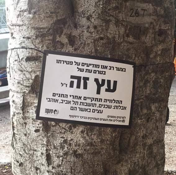 עץ שנכרת לפני כמה שנים בתל אביב