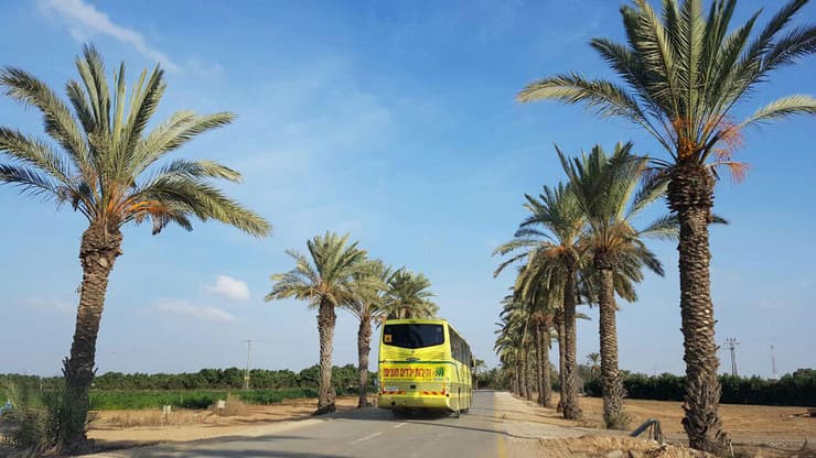 במהלך היום צפוי להיות נעים