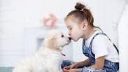 כלב ילד אהבה חיית מחמד נשיקה הורים
