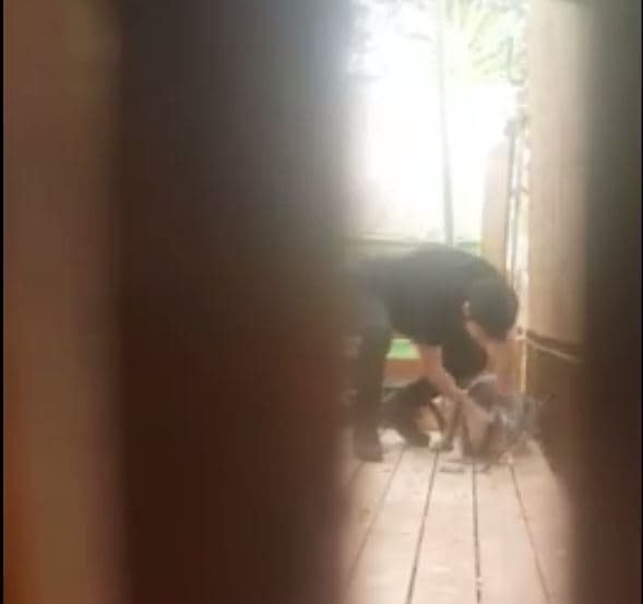 תושב באר שבע מתעלל בכלבה בחצר הבית