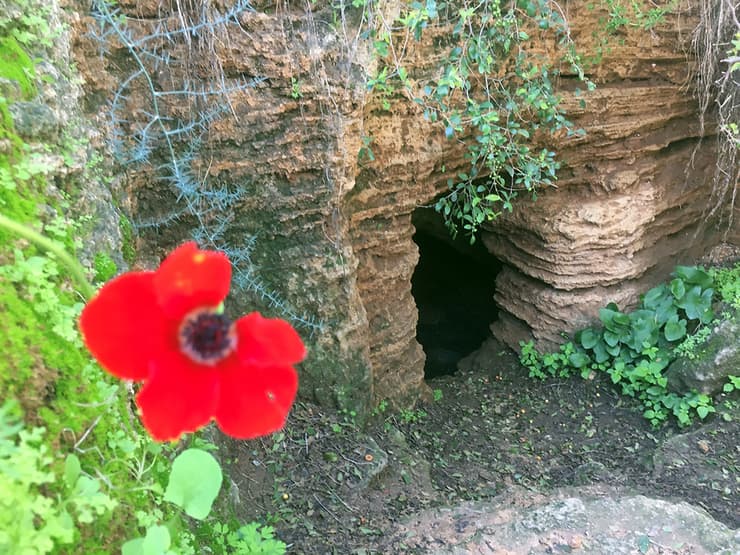מערות אפקה