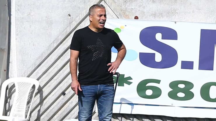 סקציה נס ציונה