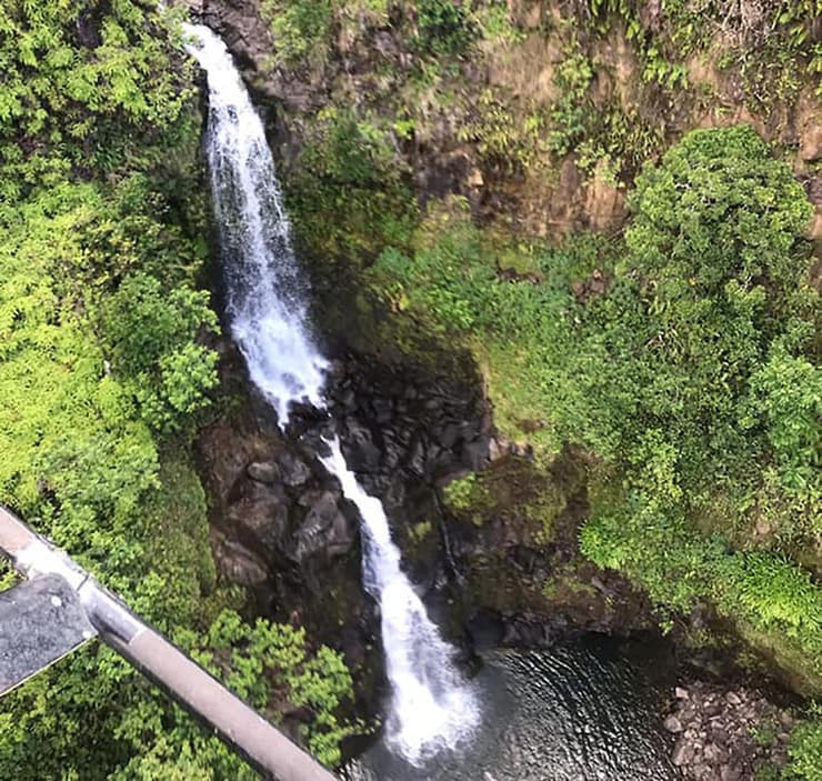 ארה"ב הוואי אמנדה אלר שרדה 17 יום ביער מדריכת יוגה