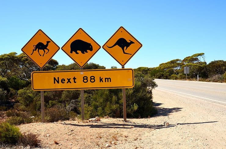 נסו להימנע מנסיעה לילית כאן: אוסטרליה