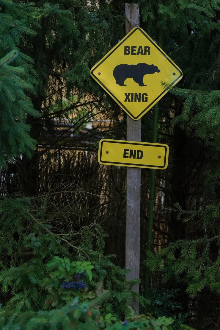 קנדה: שילוט "זהירות - דובים עוברים"