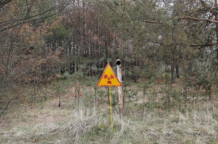 אזהרה ביער באזור צ'רנוביל. אפילו לעובדים אסור להיכנס