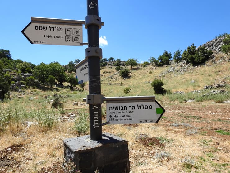 צילום: דב גרינבלט, החברה להגנת הטבע
