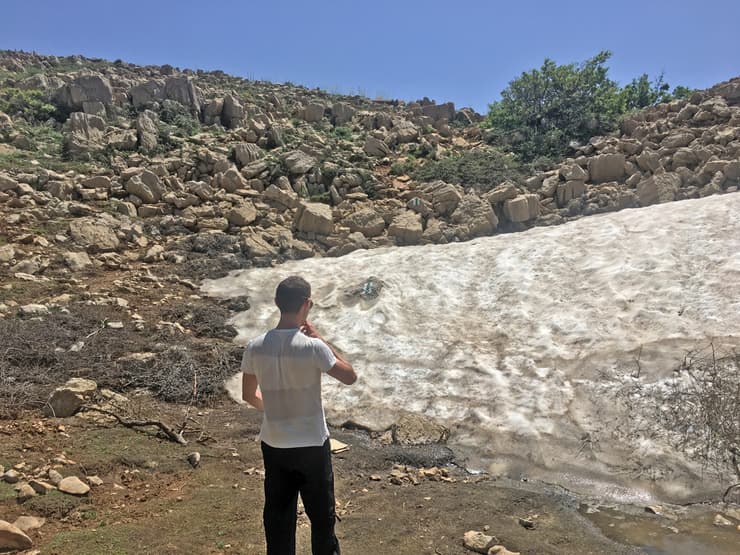 צילום: גלעד כרמלי