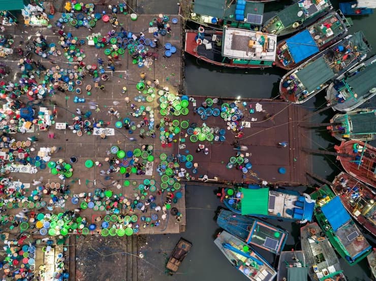 שוק דגים בהאי פונג בווייטנאם