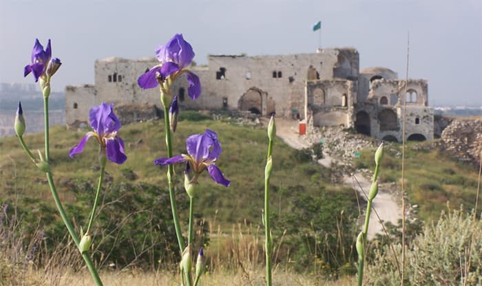 המבצר בגן לאומי מגדל צדק