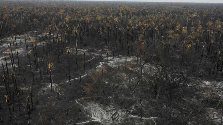 בוליביה שריפות אמזונס ב בוליביה ו*לא* בברזיל