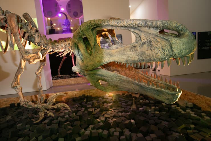 תערוכת דינוזאורים בפארק קרסו למדע