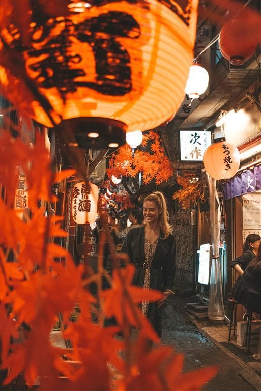 ברים, אוכל רחוב ואווירה כיפית: רחוב Omoide Yokocho