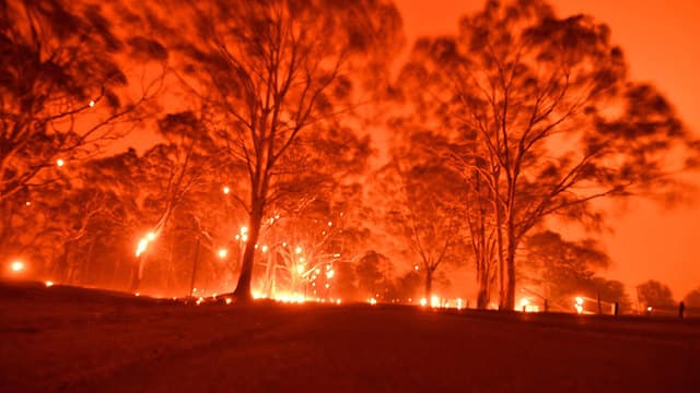 אוסטרליה נוורה שריפות שריפה ניו סאות' וויילס