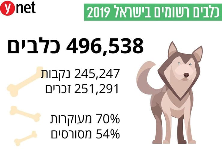כלבים רשומים בישראל