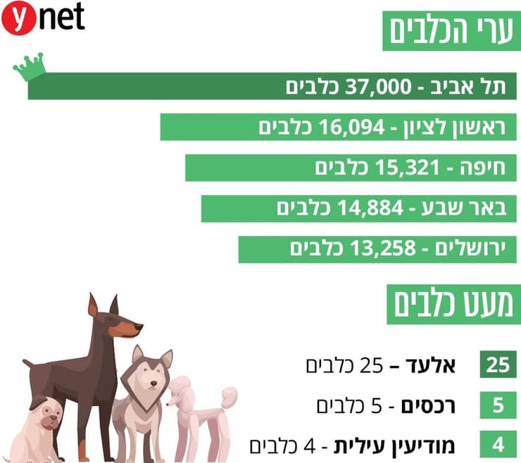 ערי הכלבים של ישראל