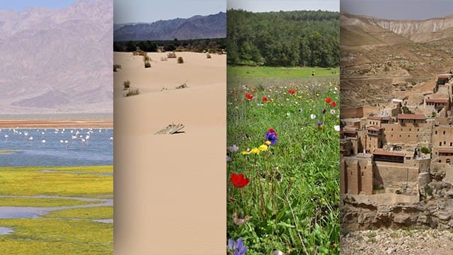 צילום: צור מוסרי