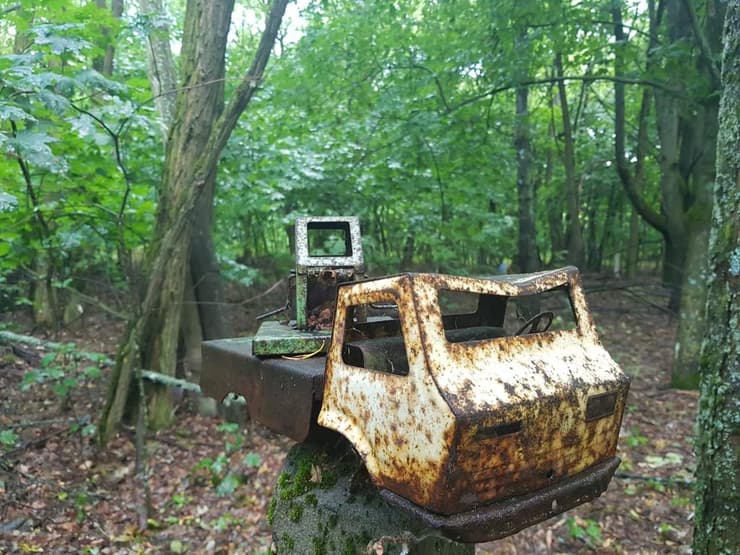 כשהאנשים נטשו - הטבע השתלט. צ'רנוביל (צילום: איליה סוקולוב) כשהאנשים נטשו - הטבע השתלט. צ'רנוביל