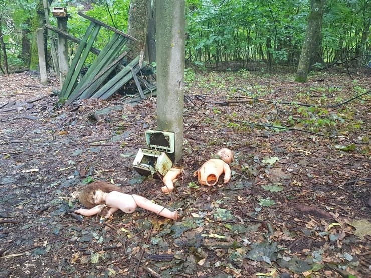 לא סיור שמתאים לכל אחד (צילום: איליה סוקולוב) לא סיור שמתאים לכל אחד