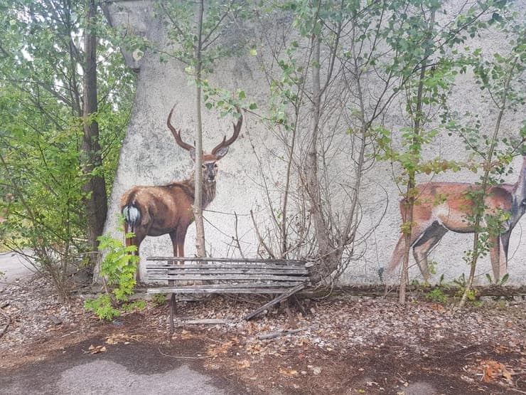 צילום: איליה סוקולוב