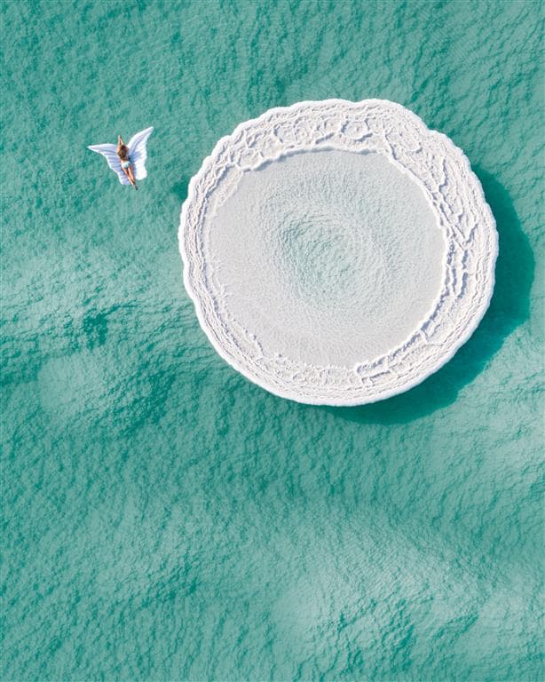 הפרפר בים המלח: התמונה הזוכה בתחרות "למעלה 2020"