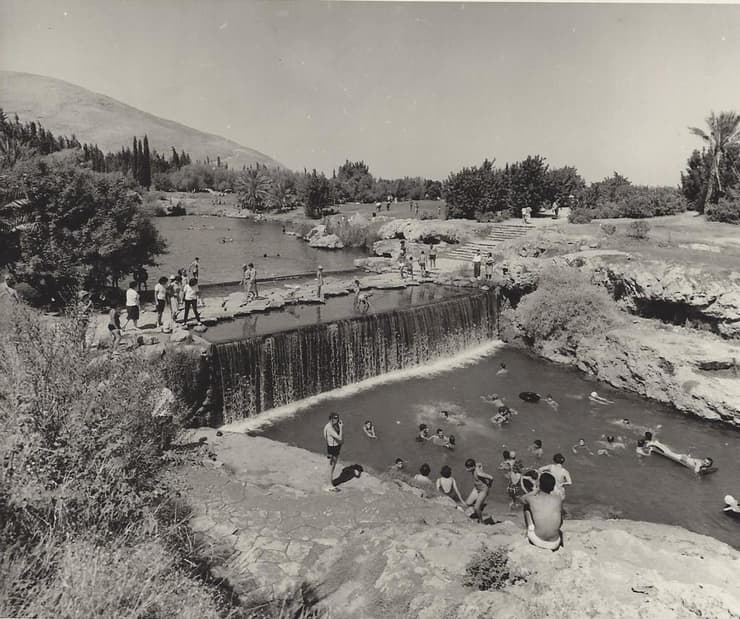  מתרחצים בגן השלושה (הסחנה), 1960