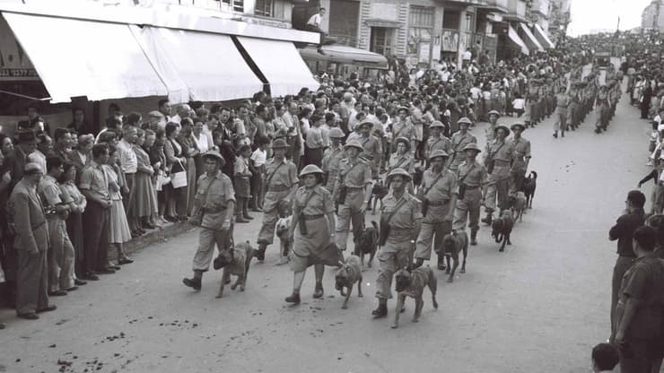 מצעד יום העצמאות הראשון בתל אביב 1949