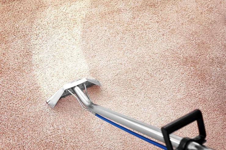 שטיחים הם קרקע פורייה לחיידקים