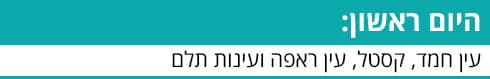 כותרת ביניים