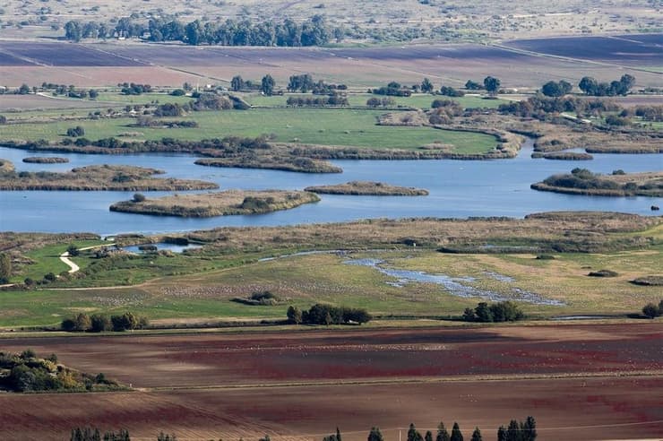 עמק החולה: נדידת ציפורים זה כאן