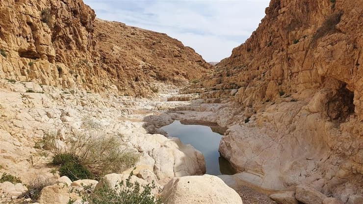 גב מים בנחל צאלים במדבר יהודה