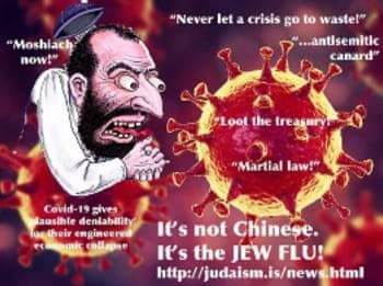 קריקטורות אנטישמיות מופצות ברשת