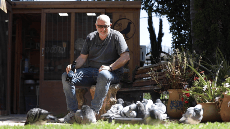 אורי רוזנר בחצר ביתו עם היונים