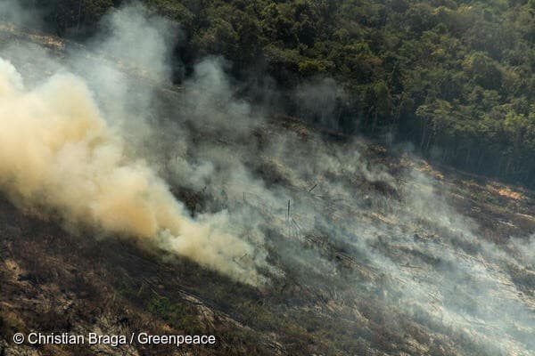 שריפות באמזונס בברזיל
